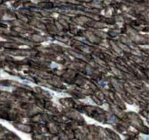 MyBioSource MBS7602513 image 1