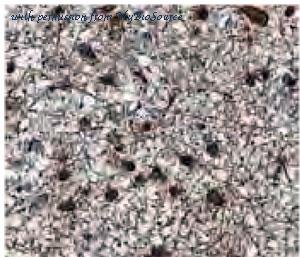 MyBioSource MBS7602727 image 1