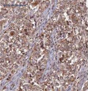 MyBioSource MBS7603710 image 1
