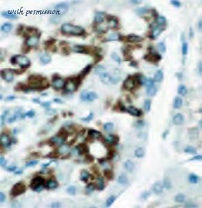 MyBioSource MBS7603868 image 1