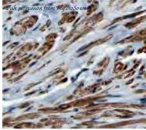 MyBioSource MBS7604415 image 1
