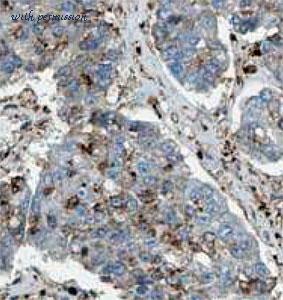MyBioSource MBS7604588 image 1