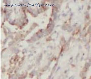 MyBioSource MBS7605273 image 1