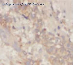 MyBioSource MBS7605982 image 1