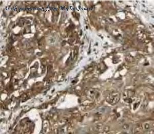 MyBioSource MBS766842 image 1