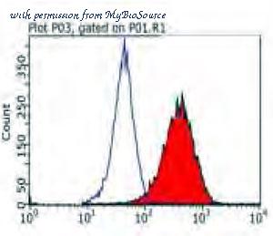 MyBioSource MBS767685 image 1