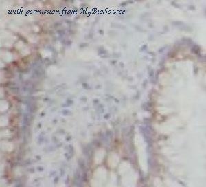 MyBioSource MBS767848 image 1