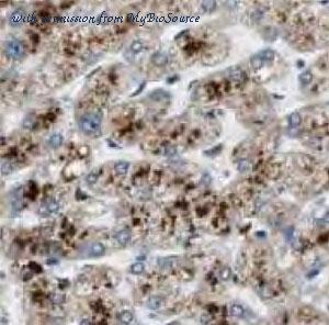 MyBioSource MBS767852 image 1
