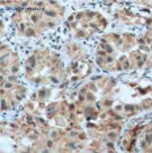 MyBioSource MBS768257 image 1