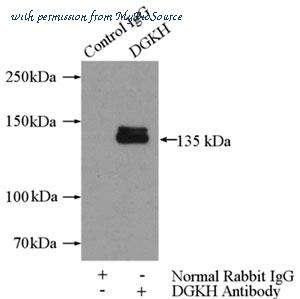 MyBioSource MBS768591 image 2