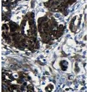 MyBioSource MBS768949 image 1