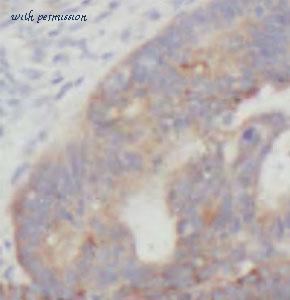 MyBioSource MBS769354 image 1