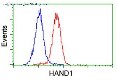 MyBioSource MBS831724 image 3