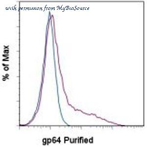 MyBioSource MBS833899 image 1