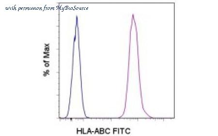 MyBioSource MBS834149 image 1