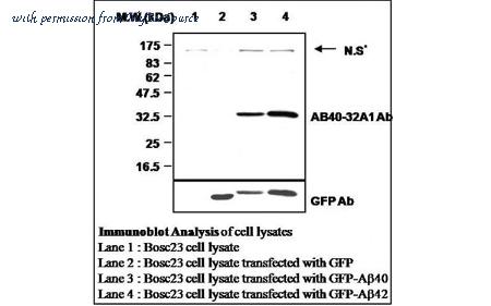 MyBioSource MBS834875 image 1