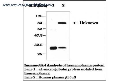 MyBioSource MBS834963 image 1