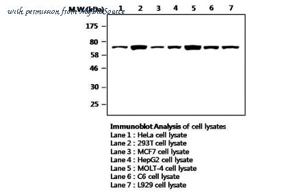 MyBioSource MBS834964 image 1