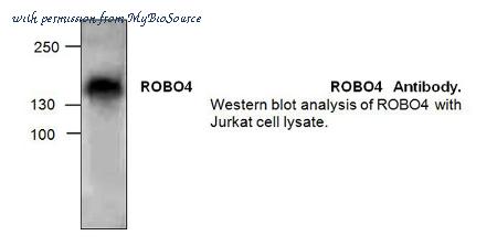 MyBioSource MBS840330 image 1