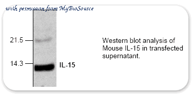 MyBioSource MBS840403 image 1