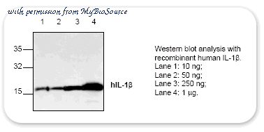 MyBioSource MBS841099 image 1