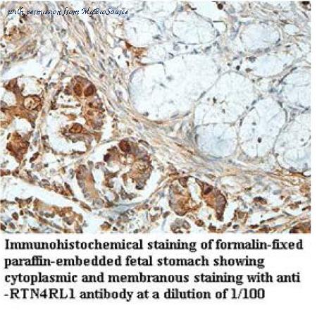 MyBioSource MBS8507136 image 1