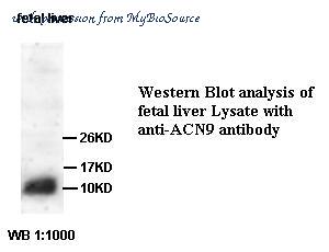 MyBioSource MBS853662 image 1
