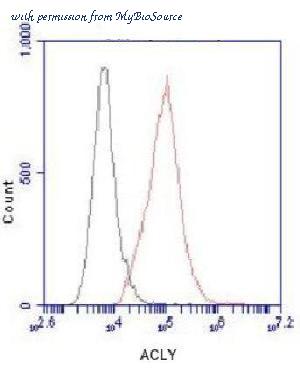 MyBioSource MBS857833 image 3