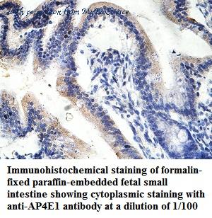 MyBioSource MBS859638 image 2