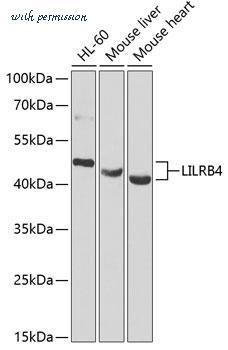 MyBioSource MBS9125297 image 1