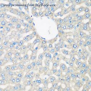 MyBioSource MBS9125960 image 2