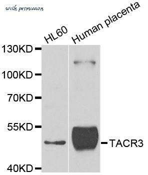 MyBioSource MBS9126076 image 1