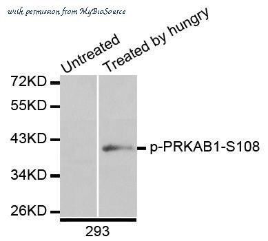 MyBioSource MBS9126886 image 1