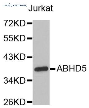 MyBioSource MBS9127454 image 1