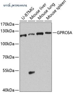 MyBioSource MBS9128336 image 1