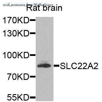 MyBioSource MBS9128659 image 1