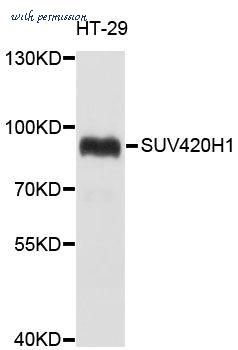 MyBioSource MBS9131880 image 1
