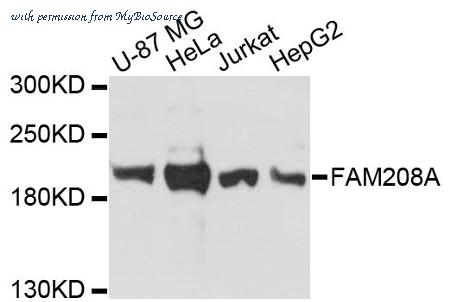 MyBioSource MBS9133235 image 1