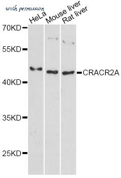 MyBioSource MBS9133856 image 1