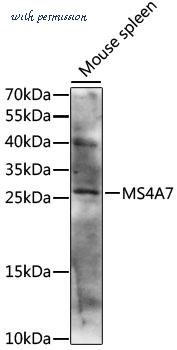 MyBioSource MBS9135481 image 1