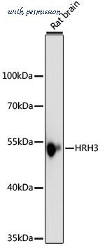 MyBioSource MBS9140883 image 1