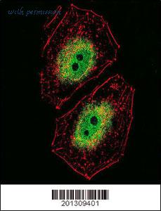 MyBioSource MBS9200087 image 2