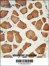 MyBioSource MBS9200783 image 1