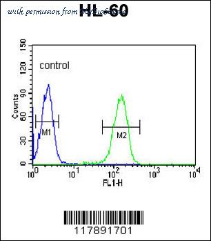 MyBioSource MBS9201717 image 2