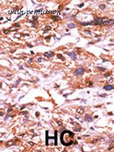 MyBioSource MBS9201824 image 2