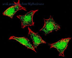 MyBioSource MBS9201988 image 2