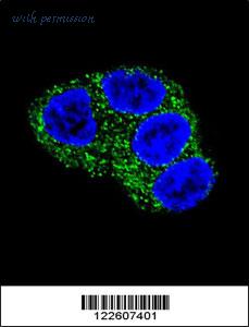 MyBioSource MBS9203265 image 2