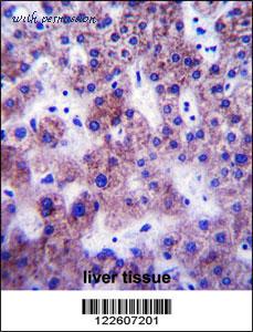MyBioSource MBS9203265 image 3