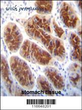 MyBioSource MBS9203312 image 3