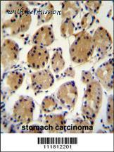 MyBioSource MBS9204261 image 2
